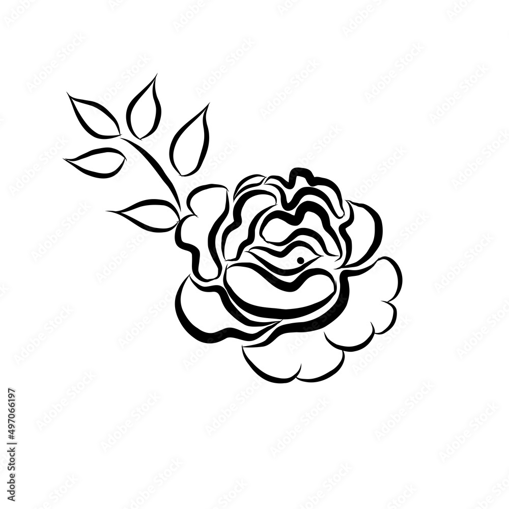 Beautiful rose bouquet flowers and green leaves growth on white background,hand drawn,creative with illustration in flat design.Floral pattern,decorative series for wallpaper. Beautiful rose bouquet flowers and green leaves growth on white background,hand drawn,creative with illustration in flat design.Floral pattern,decorative series for wallpaper.