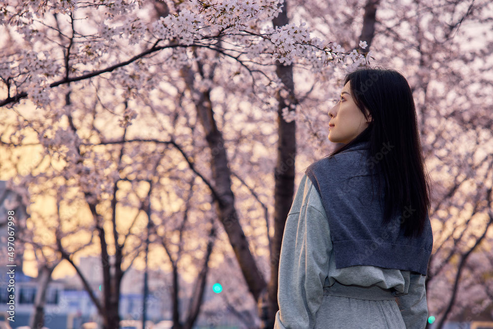 Beautiful Asian girl in cherry blossom garden on a spring day. Beautiful Asian girl in cherry blossom garden on a spring day.