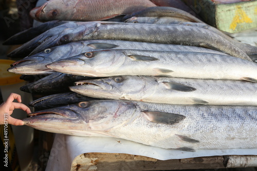 Fish. Many fresh edible fish. Marché Soumbedioune, Dakar, Senegal, Africa. Fresh catch in fish market, bazaar. Seafood sales in Soumbedioune, Senegal, Africa. African shop, store with seafood. Trade photo