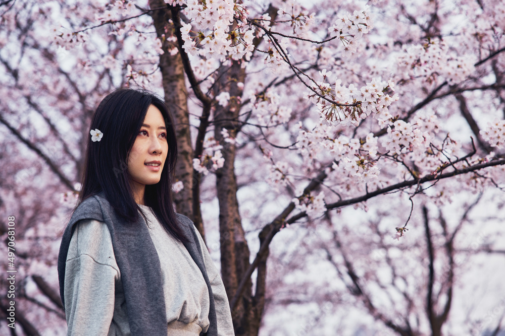 Beautiful Asian girl in cherry blossom garden on a spring day. Beautiful Asian girl in cherry blossom garden on a spring day.