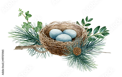 Bird nest with natural branches. Watercolor illustration. Woodland rustic element. Hand drawn bird nest with eggs decoration, pine branch, boxwood. Forest element on white background
