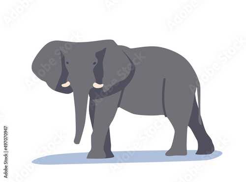 Elephant Wild Animal Isolated on White Background. Wildlife Creature, Safari Hunting, Zoo Mascot. African Jungle Mammal
