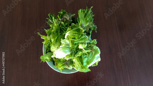 Green Oak Lettuce on wooden table