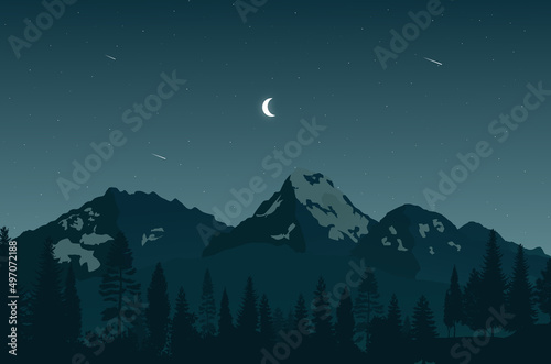 Night Forest Vector Illustration Design photo
