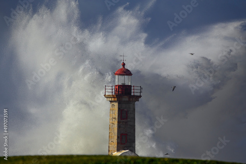 Stormy sea coast