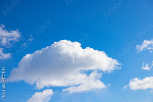 White clouds and blue sky on a spring day