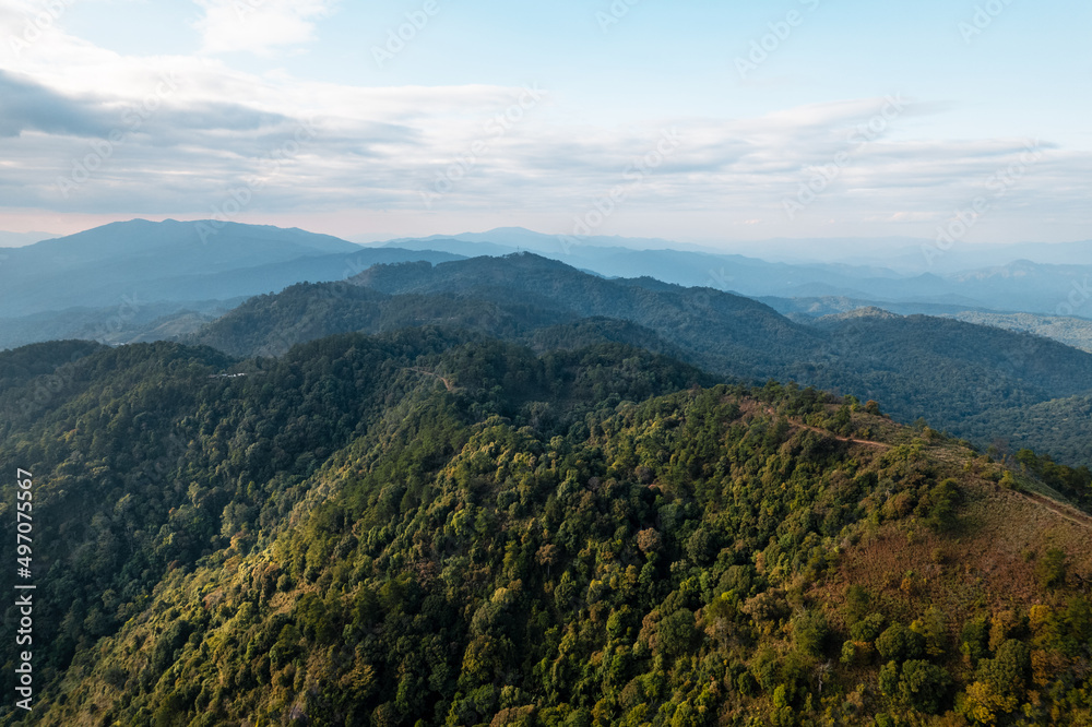 high angle view of forest and mountains in summer