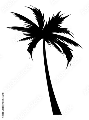 beach tree palm silhouette