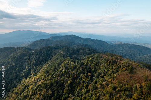 high angle view of forest and mountains in summer
