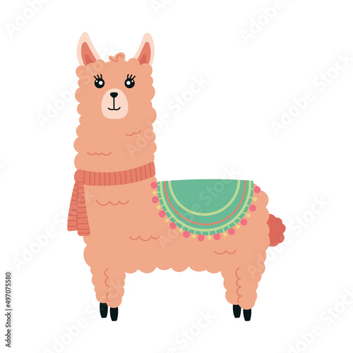 Cute llama alpaca with pink scarf vector graphic design. Llama character illustration for nursery design, poster, greeting card or logo