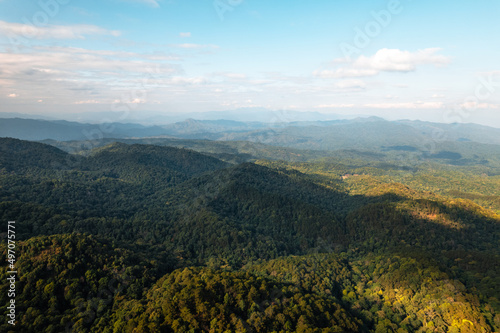 high angle view of forest and mountains in summer