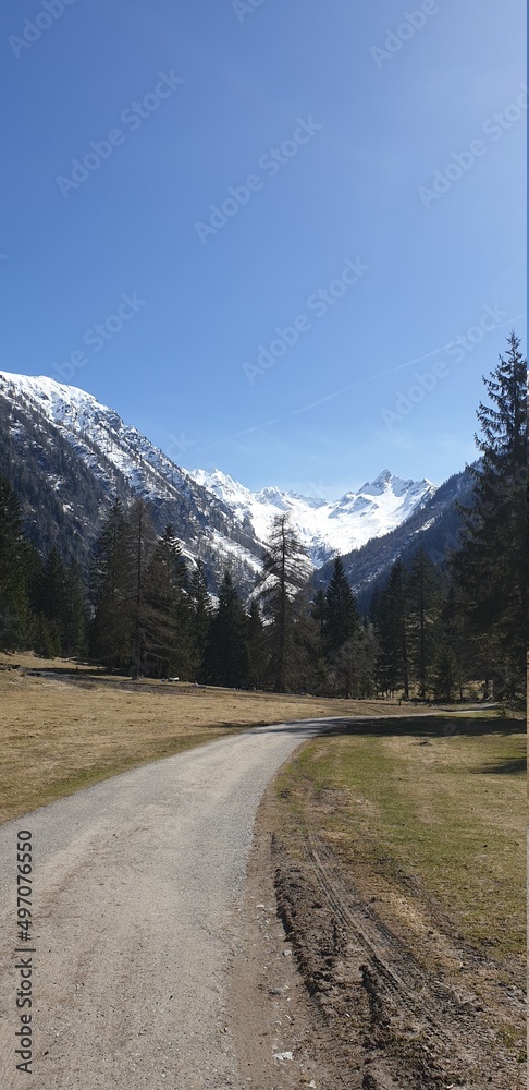 Naklejka premium la freschezza dell'altitudine