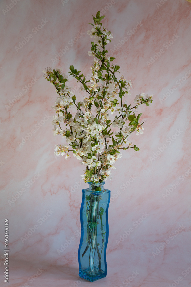 bouquet of branches of a blossoming pear in a vase on a pink background