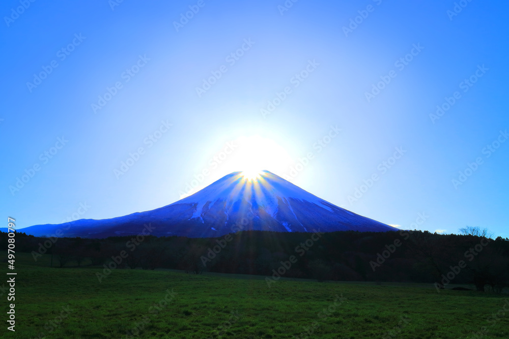 Fototapeta premium 20220405朝霧高原からのダイヤモンド富士