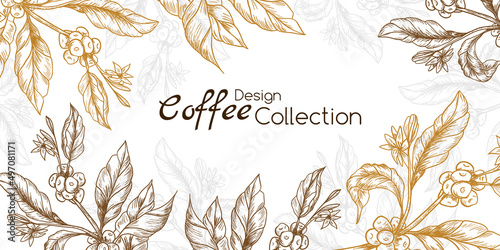 Coffee branches in engraving style on the white background.
