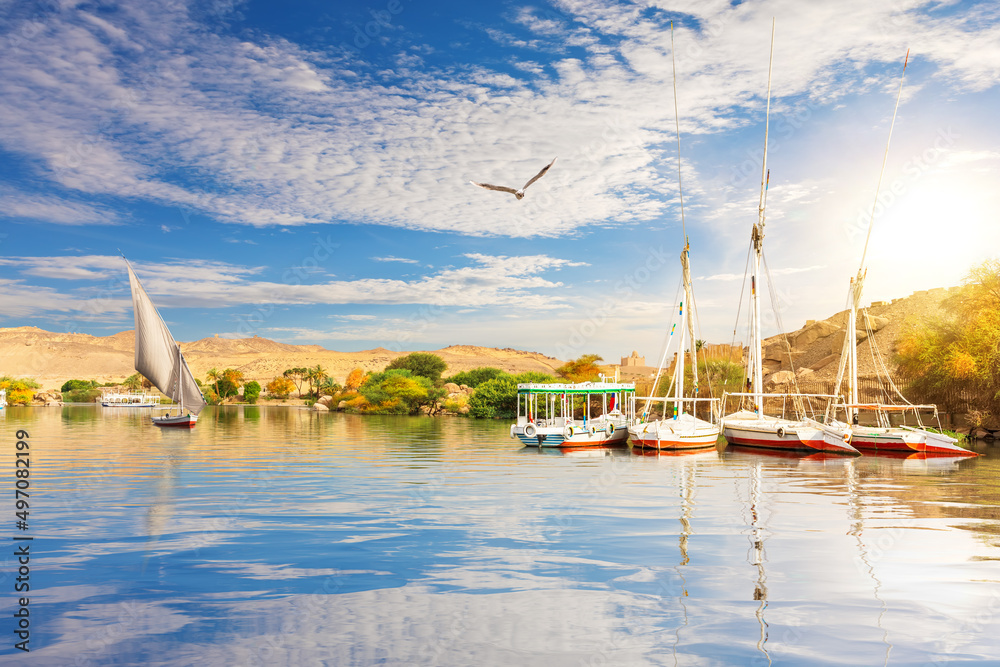 Sailboats in the Nile at sunny day, Asuan, Egypt