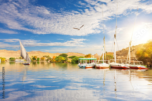 Obraz na płótnie Sailboats in the Nile at sunny day, Asuan, Egypt w salonie