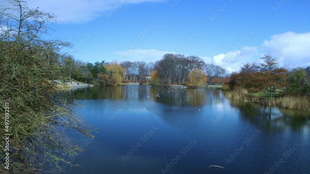 Copenhagen Spring Park – Copenhagen Fælledparken. Lake with birds and blue sky zoom 4K Ultra HD UHD Copenhagen Spring Park – Copenhagen Fælledparken. Lake with birds and blue sky zoom 4K Ultra HD UHD