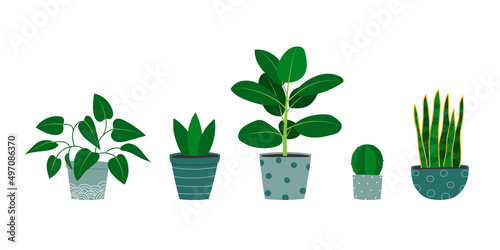 Set of hand drawn houseplants in flowerpots. Pothos plant, cactus, rubber plant, snake plant.