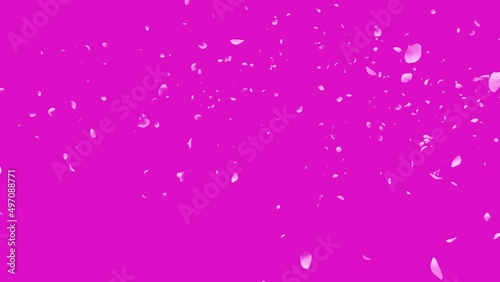 sakura_falling_front_alpha