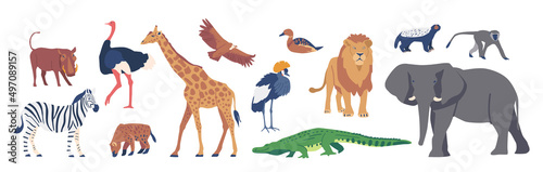 African Animals and Birds, Savannah Crowned Crane, Zebra, Lion and Boar, Giraffe, Duck, Honey Badger, Ostrich and Hyena