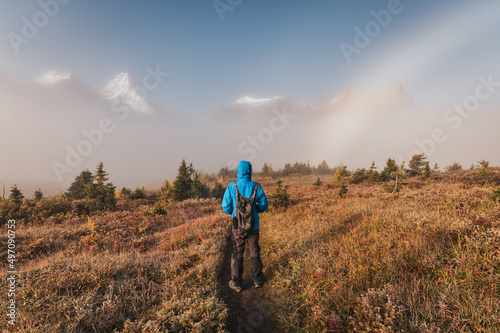 Rear of male traveler adventure standing on golden meadow with fog bow or white rainbow on autumn forest in Assiniboine provincial park