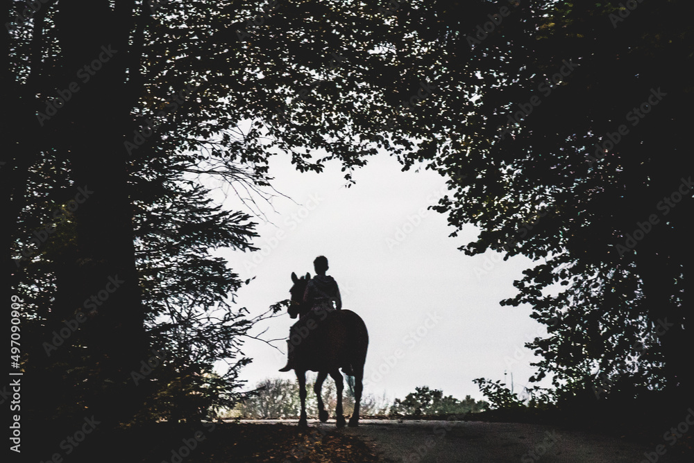 child silhouette with horse
