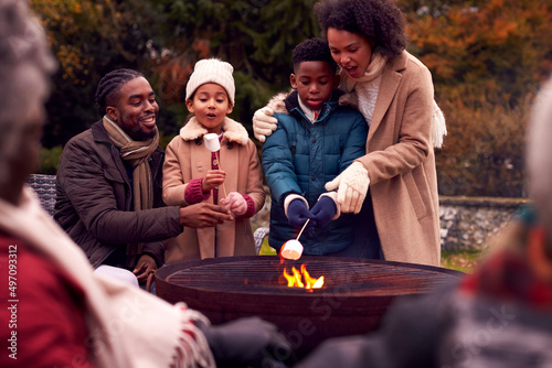 Photography Multi-Generation Family Having Fun Toasting Marshmallows In Autumn Garden Togeth