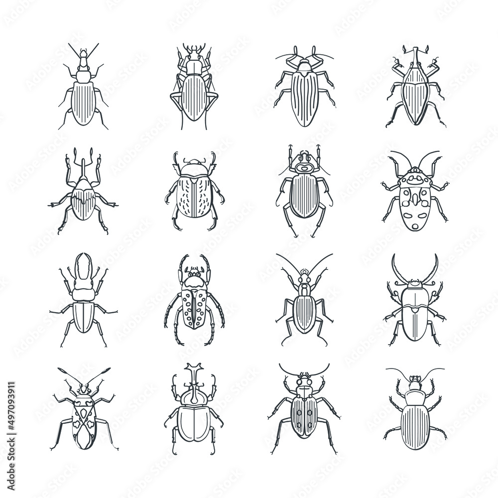 Insect flat vector icons bug and garden concept Vector set of cute cartoon insects. Different beetles on an isolated background. Insect flat vector icons bug and garden concept Vector set of cute cartoon insects. Different beetles on an isolated background.