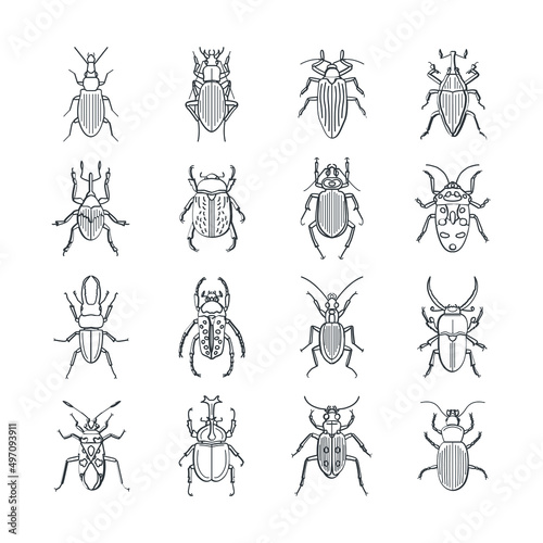 Insect flat vector icons bug and garden concept Vector set of cute cartoon insects. Different beetles on an isolated background. © Mehide