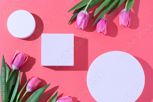 Fototapeta Naklejka Na Ścianę i Meble -  Pink podium for product display on pink with tulips flowers in hard light