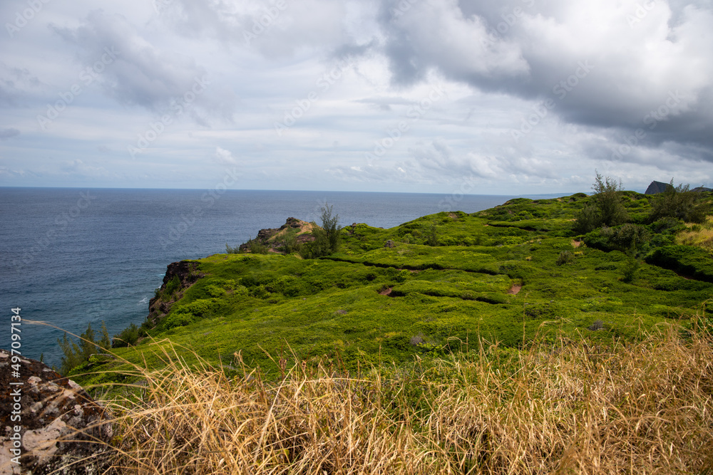 Maui coastline with lush green foliage 