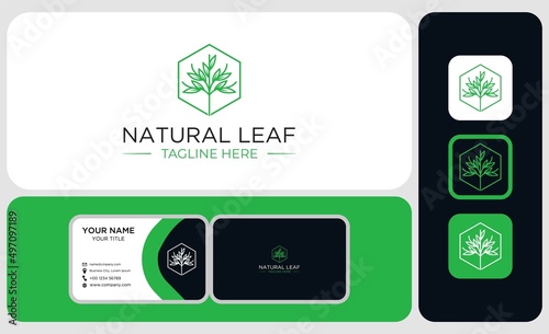 Abstract Leaf Logo design vector template linear style. Package logo design and business card.