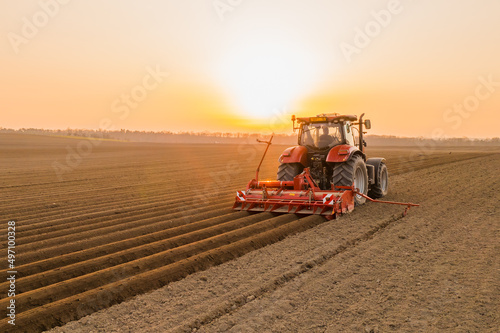 Tractor drives across large field making special beds for sowing seeds into purified soil. Agricultural vehicle works at sunset in countryside