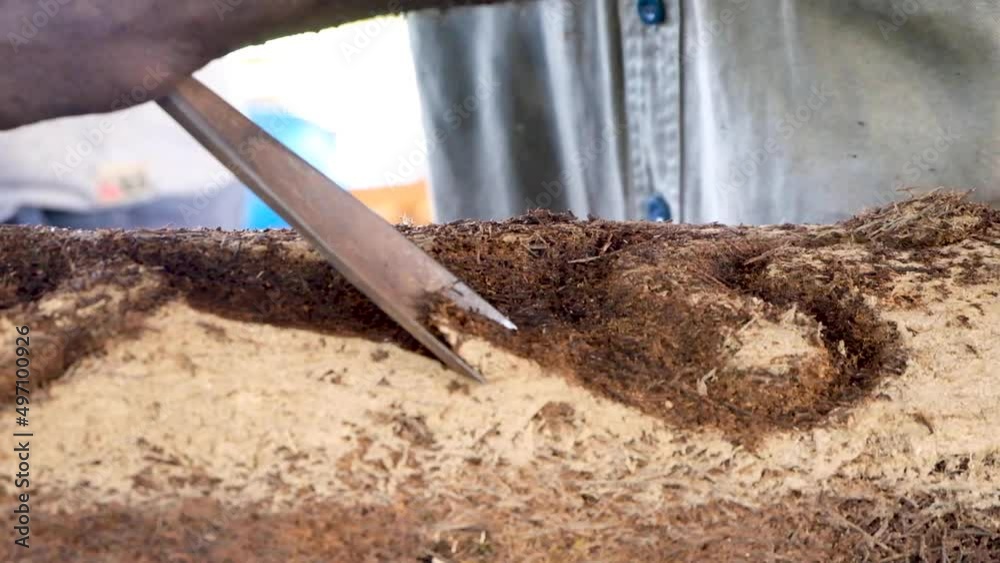 Vidéo Stock Close up of a talented woodworker using a wide chisel on