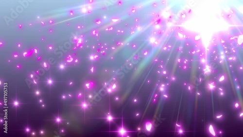 sakura_falling_front