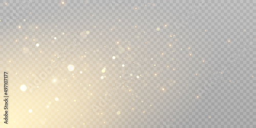 Soft bokeh and lights on a transparent background.Vector 10 eps