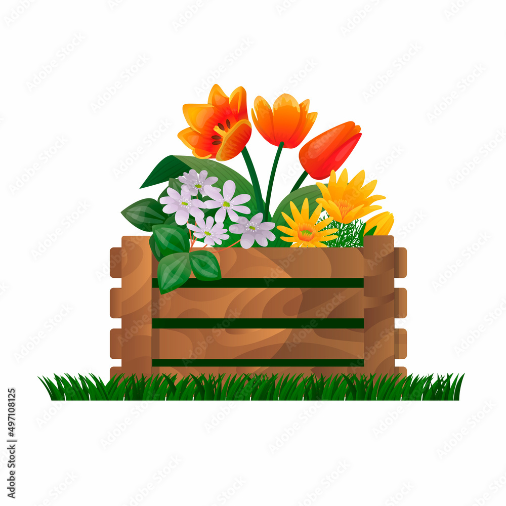 Vector isolated illustration with a wooden garden, rustic box as flowerbeds and flowers growing inside. Concept of gardening, design of homesteads, etc. You can use element in web design, banners, etc - obrazy, fototapety, plakaty 