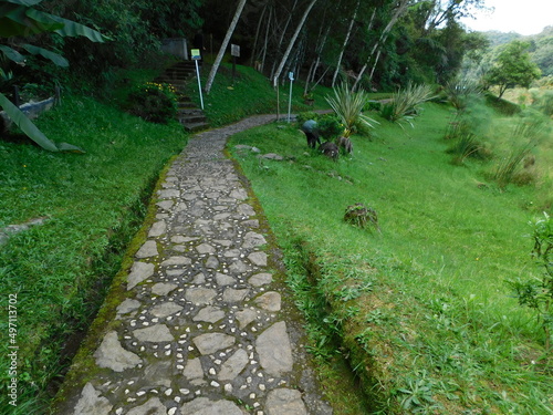 path in the garden