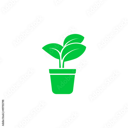 plant icon vector sprout seed sapling grow tree