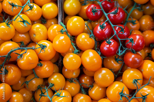 Assortment of fresh tomatoe...