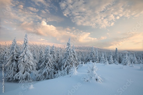 Winter scenery of the Sudetes Mountains on the Polish-Czech border during sunrise