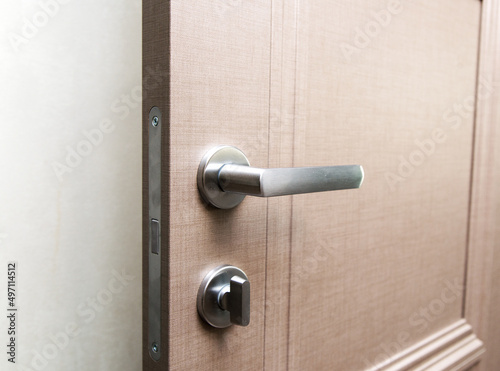 stylish doorknob and door in a design apartment