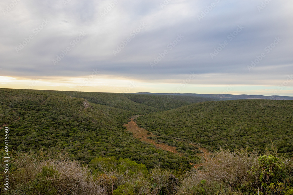 Landscape in Addo Elephant National Park, South Africa