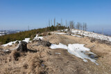 Chotarny kopec, Chotarny hill, Javorniky, Slovakia - winter and early spring landscape. Stump, snow leftower and dry and dead bare trees damaged, destroyed and devastated by bark beetle. 