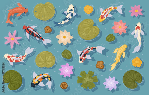 Koi fish, cartoon Japanese carp in pond water, oriental gold fish. Cartoon asian koi carp, Chinese goldfish and water flowers vector symbols illustrations. Traditional oriental fish