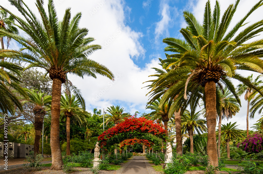 Garcia Sanabria park with flower arches in Santa Cruz. Tenerife. Canary Islands.