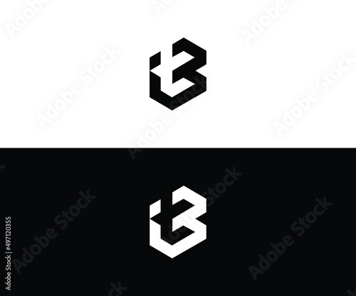 bt logo design