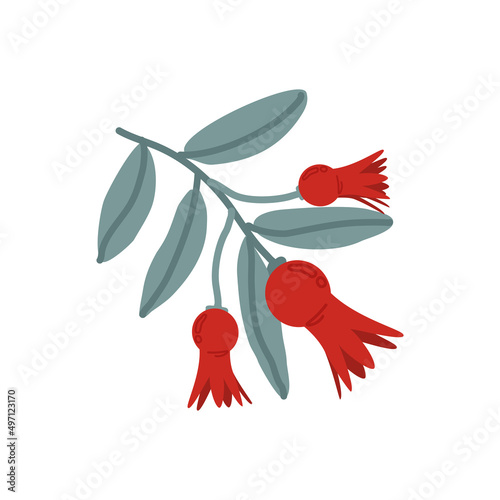 Pomegranate flowers illustration on white background. Vector Isolated Art. Design for cosmetics, spa, pomegranate juice, health care products, perfume.
