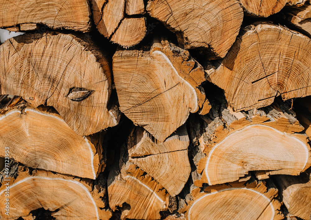Naklejka premium Background, texture of many round brown wooden logs, close-up firewood from acacia, spruce stacked in a row.